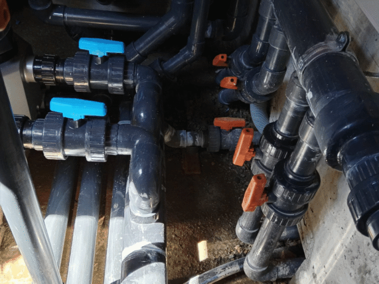 Progetto senza titolo (5)